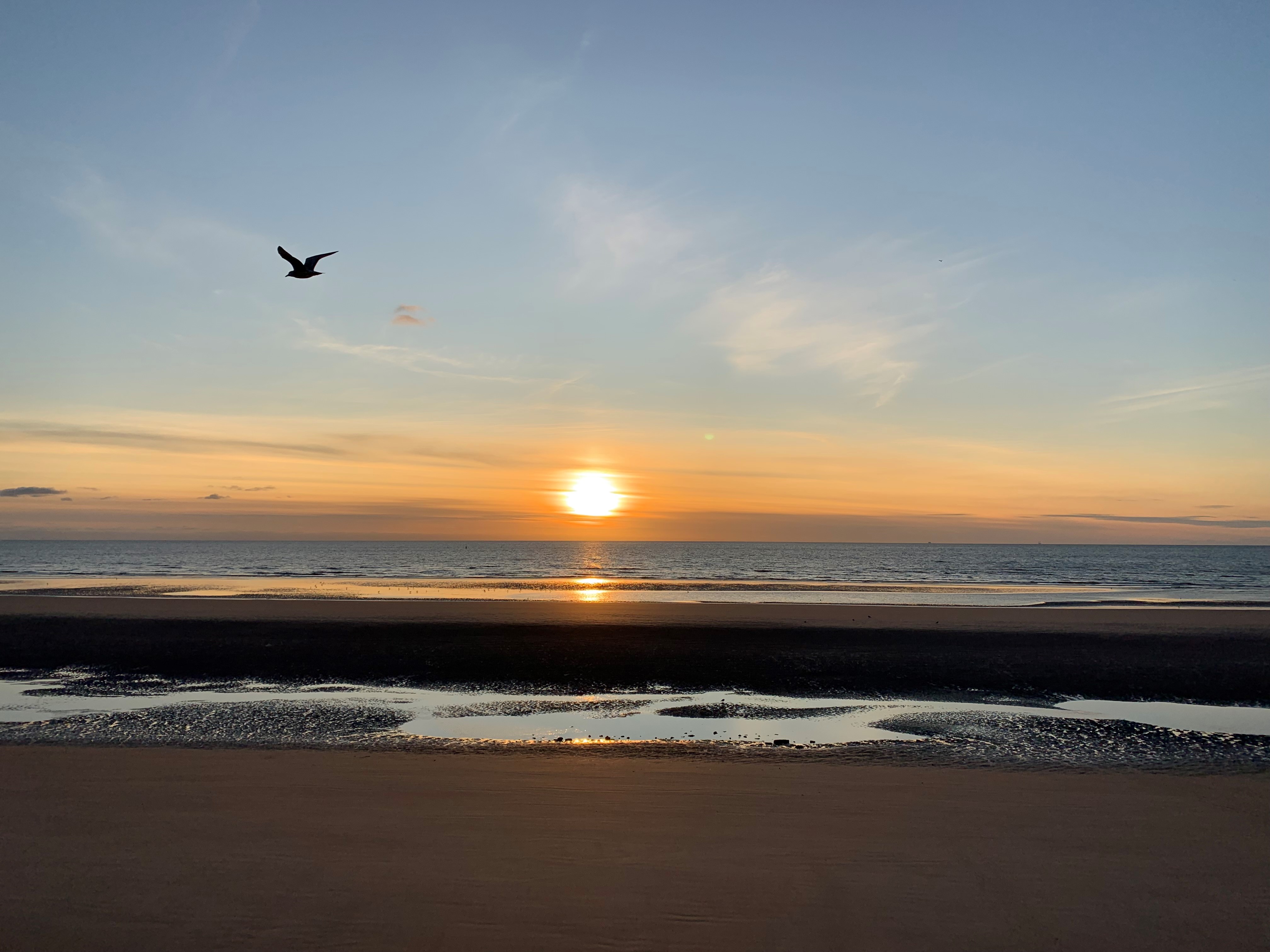 Craig Walker Counselling